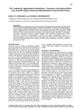 Agglutinated Foraminifera - Gaudyina Cribrosphaerellz$Era N.Sp