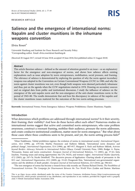 Napalm and Cluster Munitions in the Inhumane Weapons Convention