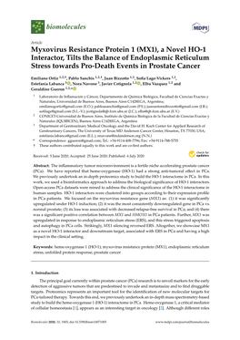 Myxovirus Resistance Protein 1 (MX1), a Novel HO-1 Interactor, Tilts the Balance of Endoplasmic Reticulum Stress Towards Pro-Death Events in Prostate Cancer