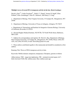 Multiple Waves of Recent DNA Transposon Activity in the Bat, Myotis Lucifugus