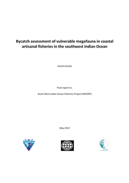 Bycatch Assessment of Vulnerable Megafauna in Coastal Artisanal Fisheries in the Southwest Indian Ocean