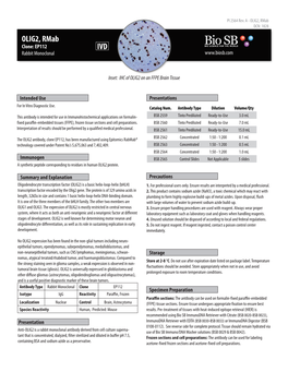 OLIG2, Rmab DCN: 1828 OLIG2, Rmab Clone: EP112 IVD Rabbit Monoclonal