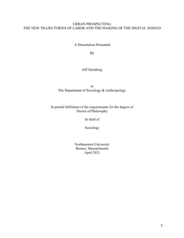 THE NEW TRAJECTORIES of LABOR and the MAKING of the DIGITAL NOMAD a Dissertation Presented by Jeff Sternbe