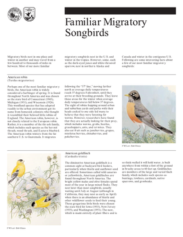 Familiar Migratory Songbirds