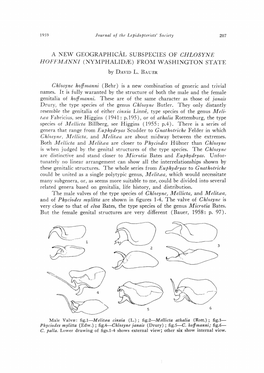 A New Geographical Subspecies of Chlosyne Hoffmann! (Nymphalidje) from Washington State