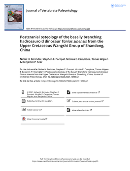 Postcranial Osteology of the Basally Branching Hadrosauroid Dinosaur Tanius Sinensis from the Upper Cretaceous Wangshi Group of Shandong, China