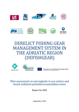 The Pilot Assessment on Microplastic in Sea Surface And