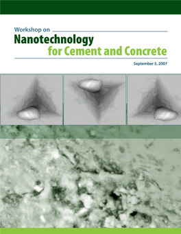 Workshop on Nanotechnology for Cement and Concrete September 5, 2007