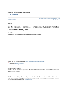 On the Maintained Significance of Botanical Illustration in Modern Plant Identification Guides