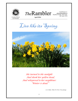 Therambler Live Like Its Spring