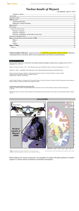 Nucleus Basalis of Meynert A136 (1)