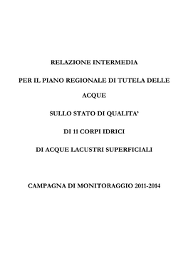 Relazione Intermedia