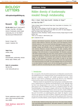 Hidden Diversity of Acoelomorpha Revealed Through