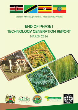 End of Phase I Technologv Generation Report