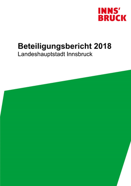 Beteiligungsbericht 2018