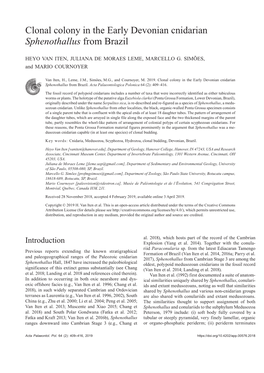 Clonal Colony in the Early Devonian Cnidarian Sphenothallus from Brazil