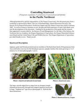 Controlling Knotweed in the Pacific Northwest