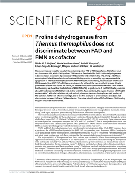 Proline Dehydrogenase from Thermus Thermophilus Does Not Discriminate