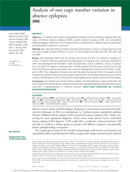 Analysis of Rare Copy Number Variation in Absence Epilepsies