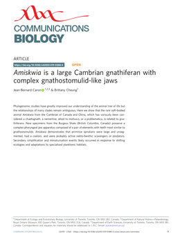 Amiskwia Is a Large Cambrian Gnathiferan with Complex Gnathostomulid-Like Jaws