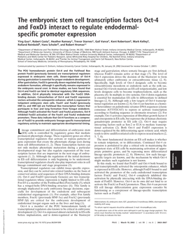 The Embryonic Stem Cell Transcription Factors Oct-4 and Foxd3 Interact to Regulate Endodermal- Specific Promoter Expression