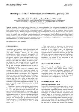 Histological Study of Mudskipper (Periophthalmus Gracilis) Gills