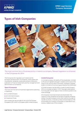 Types of Irish Companies