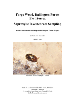 Dallington Forest Saproxylic Invertebrate Sampling 2018 Keith