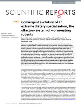 Convergent Evolution of an Extreme Dietary Specialisation, the Olfactory System of Worm-Eating Rodents