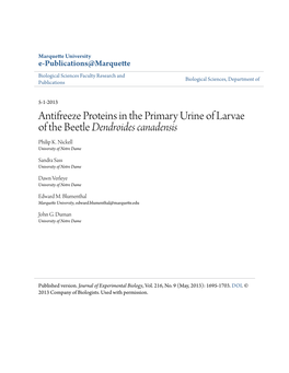 Antifreeze Proteins in the Primary Urine of Larvae of the Beetle &lt;Em