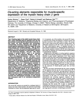 Cis-Acting Elements Responsible for Muscle-Specific Expression of the Myosin Heavy Chain ,3 Gene