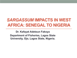 Sargassum Impacts in West Africa: Senegal to Nigeria