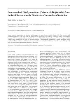 New Records of Hemisyntrachelus (Odontoceti, Delphinidae) from the Late Pliocene Or Early Pleistocene of the Southern North Sea