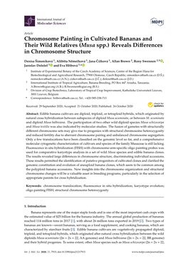 (Musa Spp.) Reveals Differences in Chromosome Structure