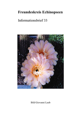 Infobrief 2002-33 FE