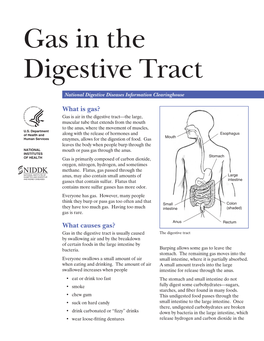 Gas in the Digestive Tract