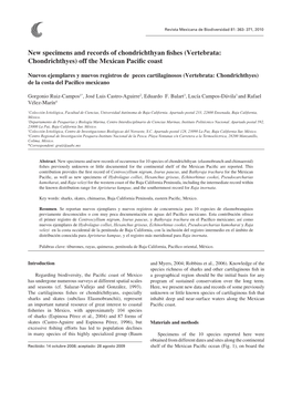 New Specimens and Records of Chondrichthyan Fishes