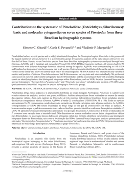 Contributions to the Systematic of Pimelodidae