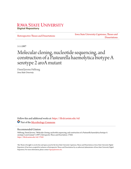 Molecular Cloning, Nucleotide Sequencing, and Construction of a Pasteurella Haemolytica Biotype a Serotype 2 Aroa Mutant Daniel Jerome Hellrung Iowa State University