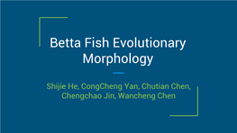 Betta Fish Evolutionary Morphology