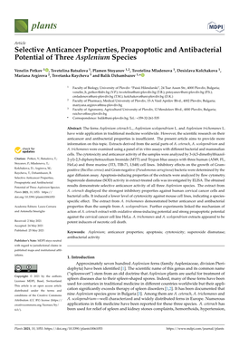 Selective Anticancer Properties, Proapoptotic and Antibacterial Potential of Three Asplenium Species