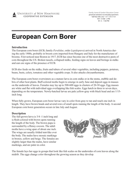 European Corn Borer