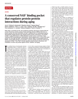 A Conserved NAD+ Binding Pocket That Regulates Protein-Protein Interactions During Aging Jun Li, Michael S