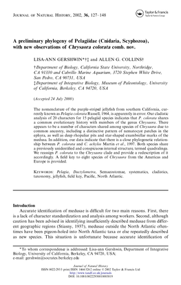 A Preliminary Phylogeny of Pelagiidae (Cnidaria, Scyphozoa), with New Observations of Chrysaora Colorata Comb