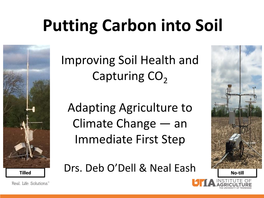 Putting Carbon Into Soil