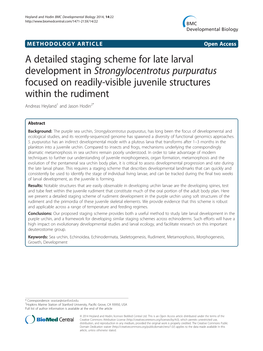 A Detailed Staging Scheme for Late Larval Development In