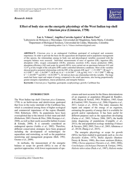 Effect of Body Size on the Energetic Physiology of the West Indian Top Shell Cittarium Pica (Linnaeus, 1758)