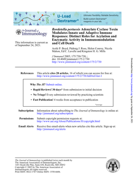 And Cell Death Enzymatic Activity In