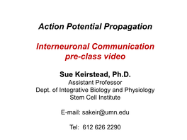 Action Potential Propagation