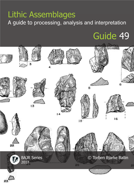 49. Lithic Assemblages